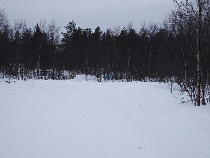56cc7e86397cc_DSCF2610.jpg