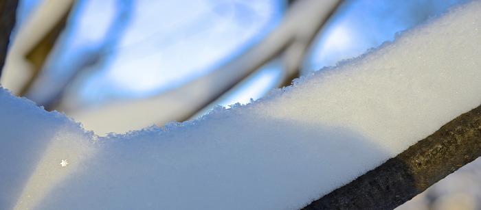 52e80ab3045ec__DSC0929.jpg