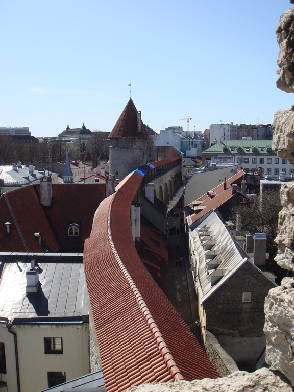 5186a8e681915_Tallinn1.jpg