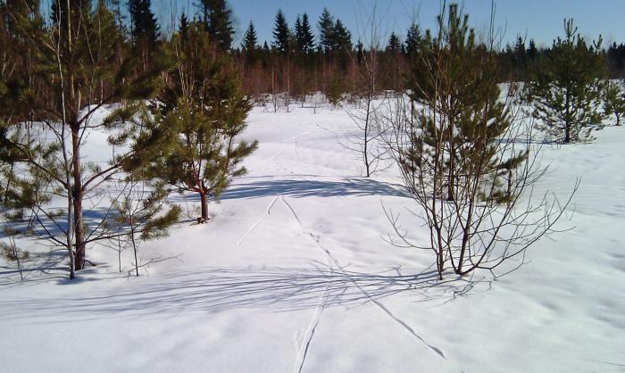 5161559bb7cb1_GPS_IMAG0009_w.jpg