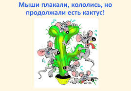 6416c91d6b1de_89292DB3E85A4C689AAC227252