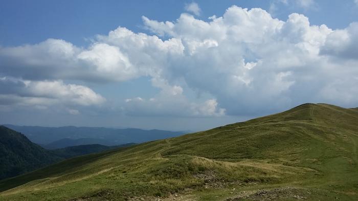 53f09779335b3_20140815_140214.jpg