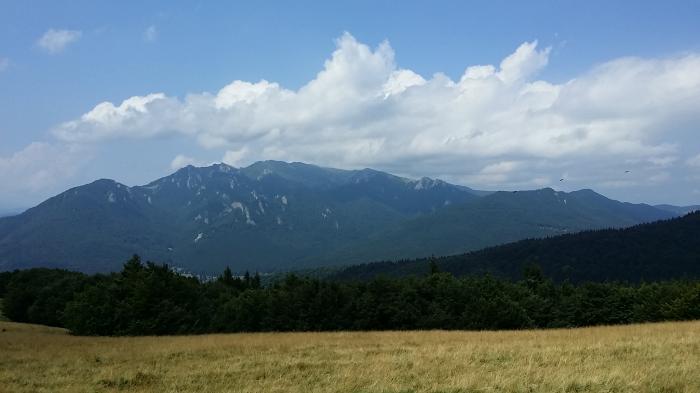 53f097cec459e_20140815_130558.jpg