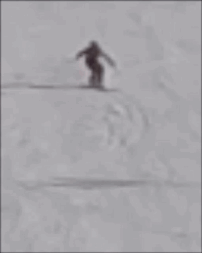 6990544c6bf33_IMG_6279.gif
