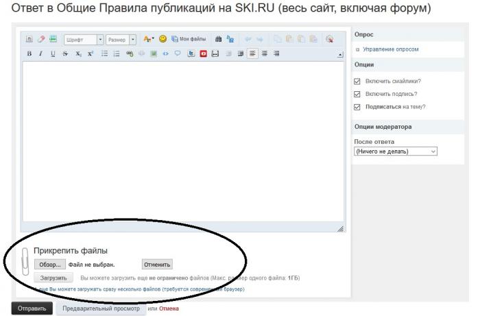 5a4083337b76d_656546565.jpg