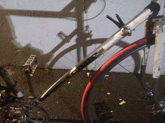 63bdfb0577c3e_velo.jpg