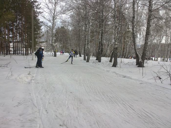 5342d3d57c369_06042014138.jpg