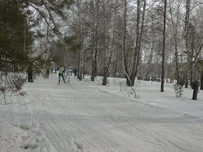 5342d4411fc3e_06042014139.jpg