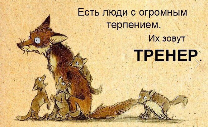 5bd88f271c6d7_M2fF56Ggmx0.jpg