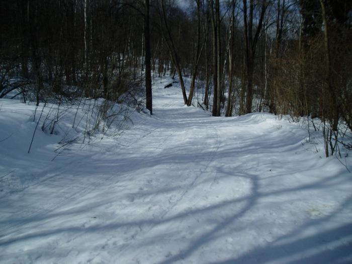 51647ef05ac4f_P4090011.jpg