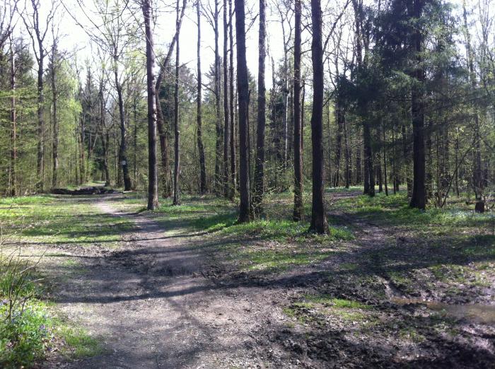 51c1e34ed7638_IMG_2419.jpg