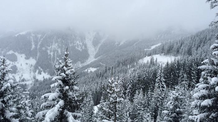 54f64ea1bf725_20150225151505.jpg