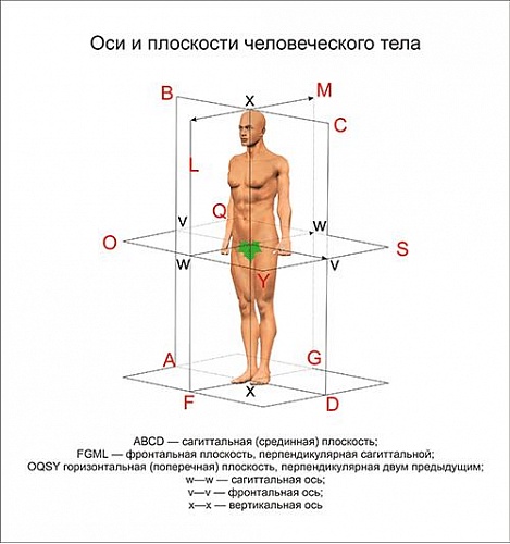 5b0471f398503_1.jpg