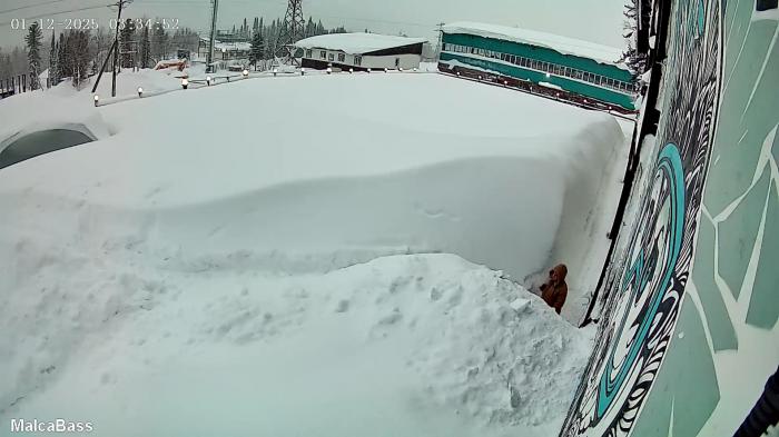 69363a4c14c16_egegesh_screenshot__shereg