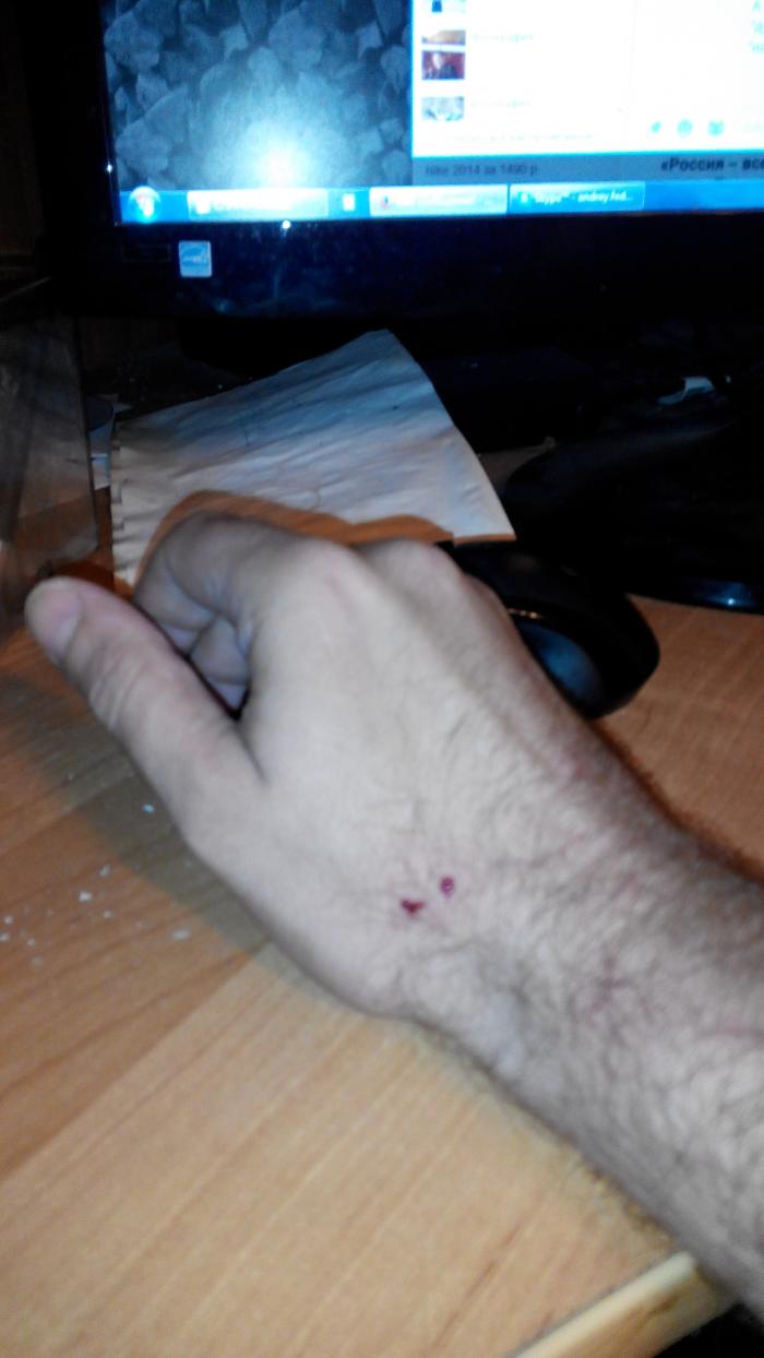 540cb9c6923d0_20140907231053.jpg