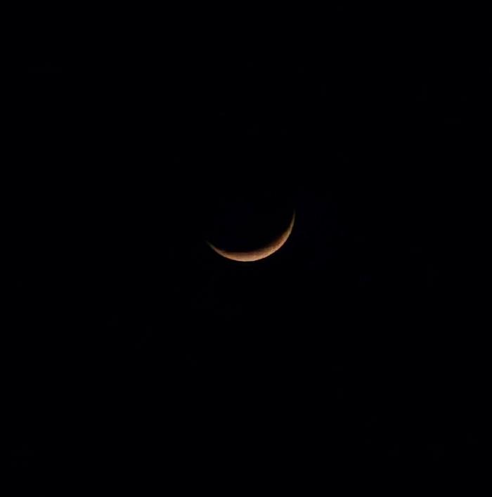 6a0ca940e8339_20260519_2004131.jpg