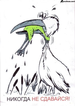 5c6576cabf690_296x419xNikogdanesdavaysya