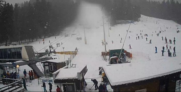 586173c3502fe_Boro261216snow.jpg