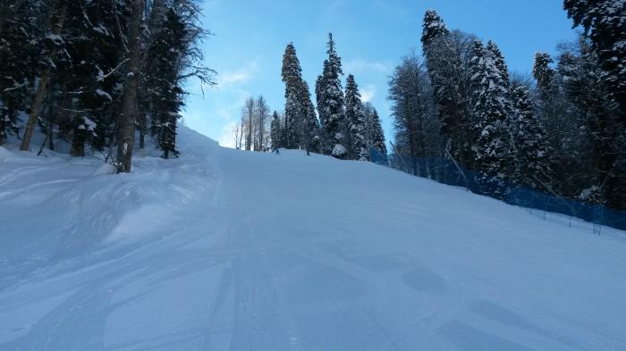 589c42fc49954_20170127_153300.jpg