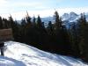 DSC01181.JPG