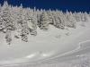 DSC01239.JPG