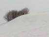 cheget__20090120_15.48.56.jpg