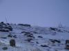 DSC00817.JPG