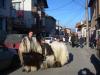 DSCN5873.JPG