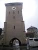 IMGP0165.JPG