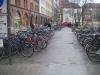 IMGP0233.JPG