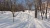 DSC01668.JPG