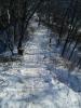 DSC00046.jpg