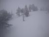 DSC03972.JPG
