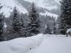 DSC08424.jpg