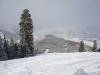 DSC08445_.jpg