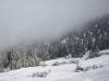 DSC08458_.jpg