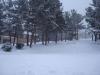 DSC08475_.jpg