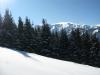IMG_6027.jpg