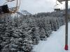 SDC12285.JPG