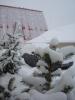 DSC08770.jpg