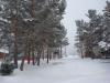 DSC08767.jpg