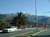 DSC08974.JPG