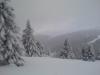 DSC01441.JPG