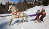 1641_1_4d5508f73feb6_800_800_1297418486.jpg