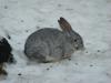 DSC09012.JPG