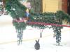 DSC09111.JPG