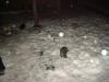 DSC09169.JPG