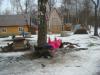 DSC09240.JPG