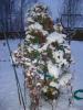DSC08933.JPG