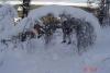 DSC02342.JPG